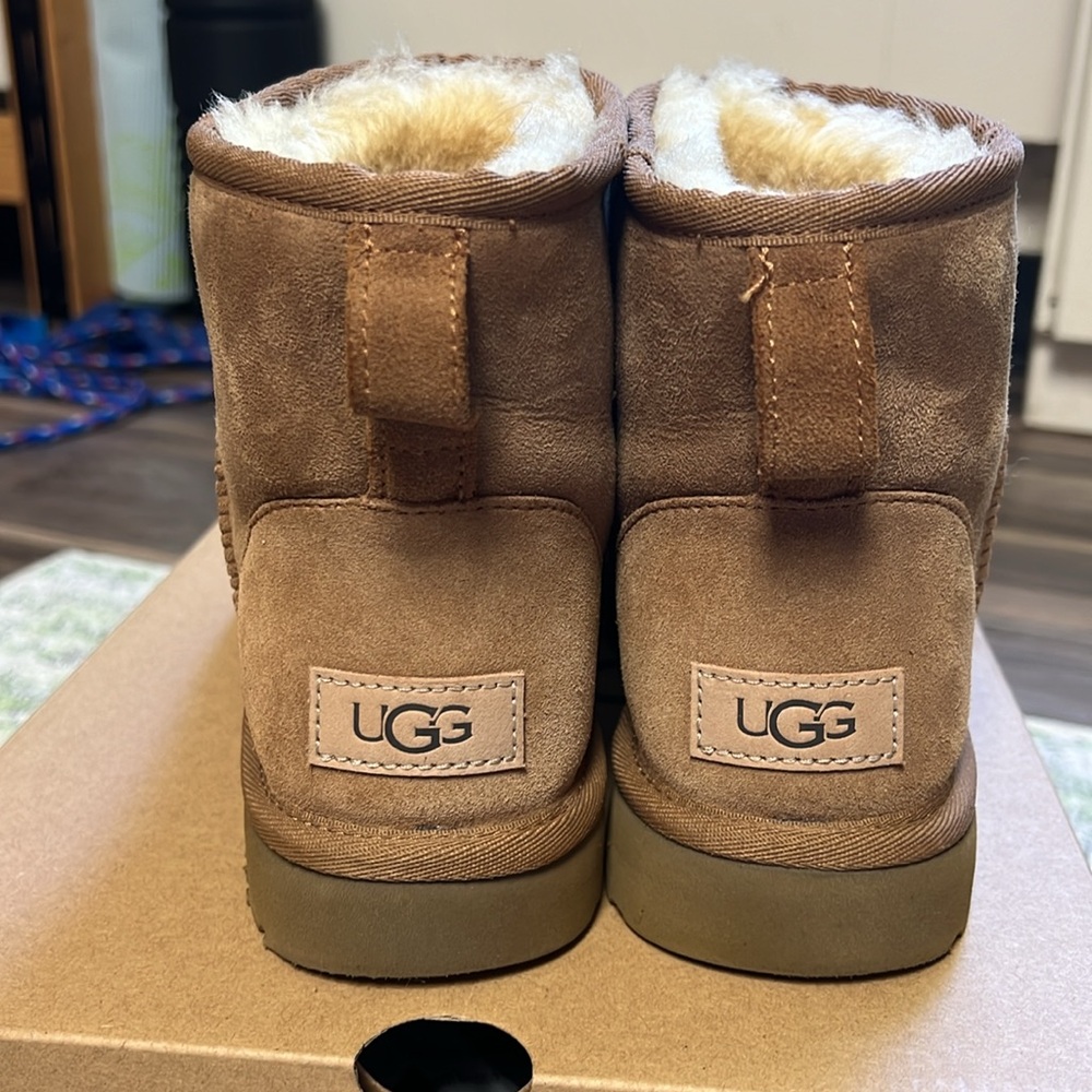 Chestnut Ugg mini II boot